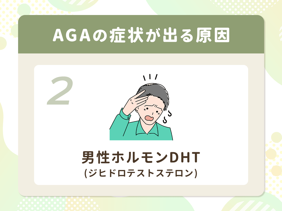 AGA(男性ホルモン型脱毛症)の症状が出る原因②:男性ホルモンDHT(ジヒドロテストステロン)